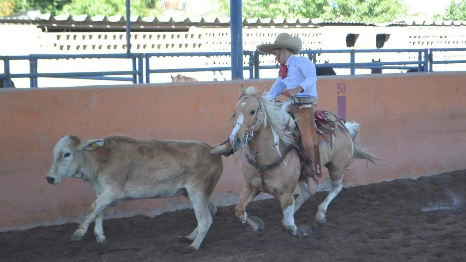 25 Gran charreada en el Lienzo de GP1